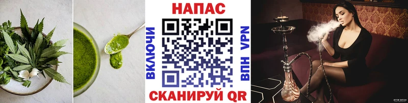 Canna-Cookies марихуана  как найти закладки  Полтавская 