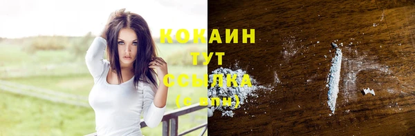 Альфа ПВП Анива