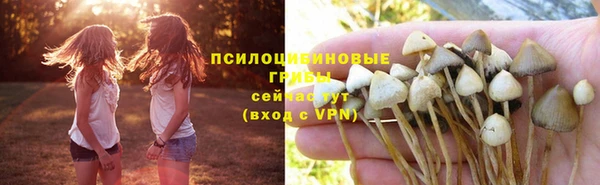 apvp Михайловск
