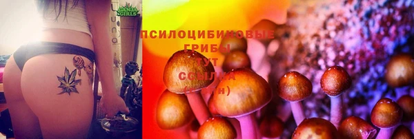 apvp Михайловск